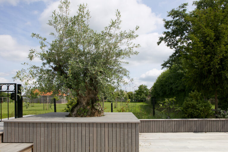 Jos Bouwhuis Tuinen | Kindvriendelijke leeftuin met zwemvijver
