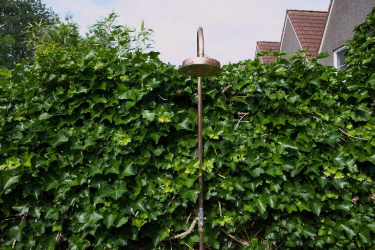 Jos Bouwhuis Tuinen | Luxe en moderne stadstuin