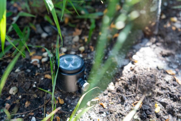 Jos Bouwhuis Tuinen | Moderne stadstuin