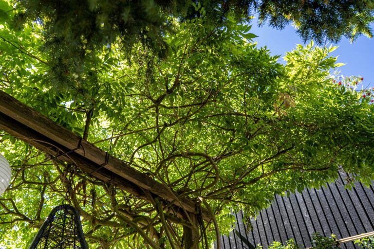 Jos Bouwhuis Tuinen | Moderne stadstuin