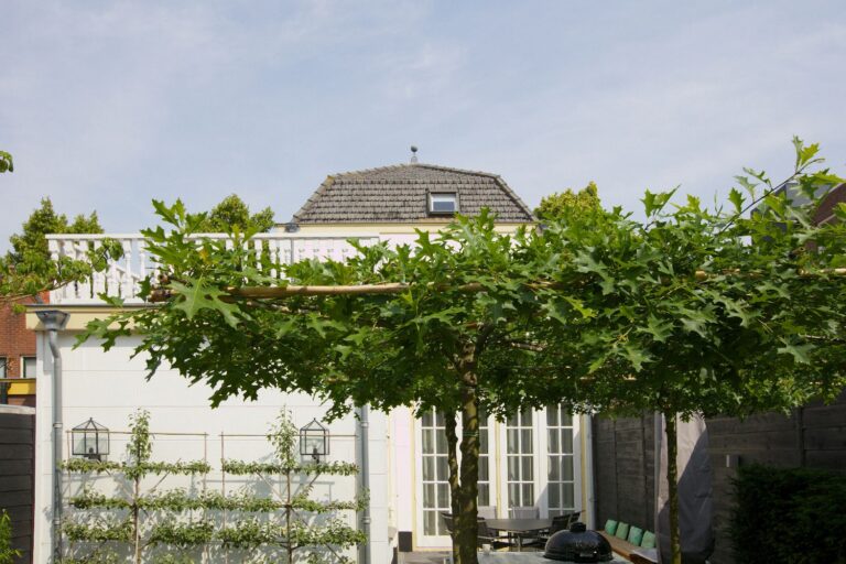 Jos Bouwhuis Tuinen | Binnen stadstuin enkhuizen