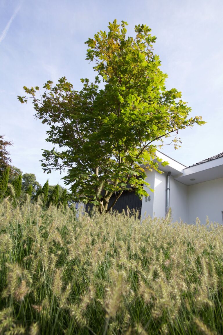 Jos Bouwhuis Tuinen | Ruimtelijk en landelijke tuin