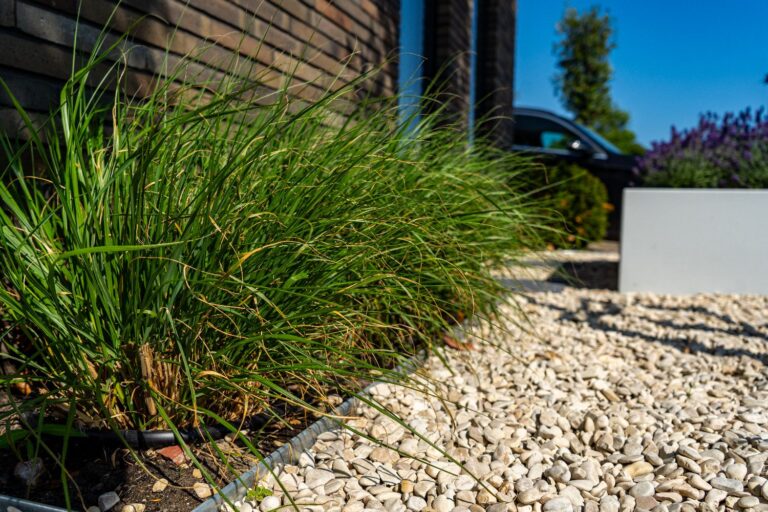 Jos Bouwhuis Tuinen | Strakke kindvriendelijke tuin