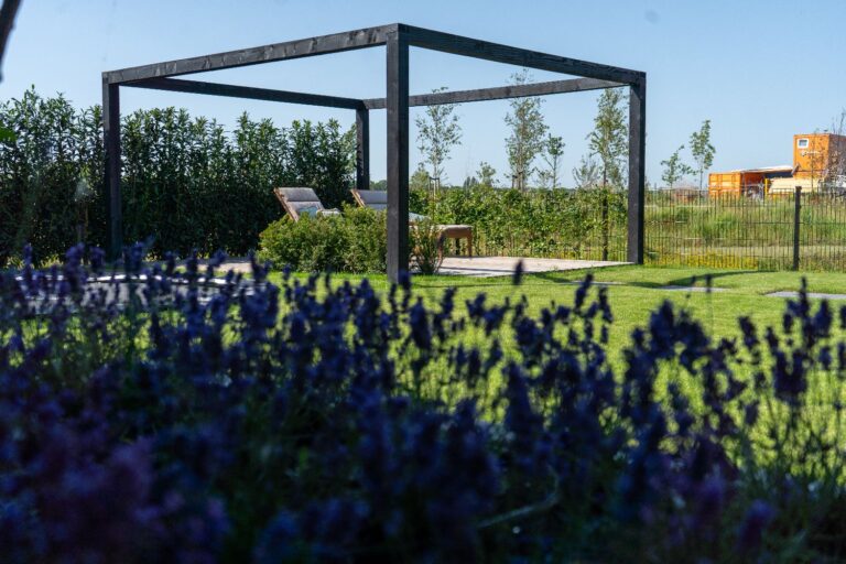 Jos Bouwhuis Tuinen | Strakke kindvriendelijke tuin