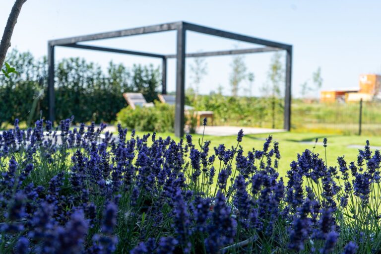 Jos Bouwhuis Tuinen | Strakke kindvriendelijke tuin